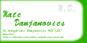 mate damjanovics business card